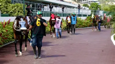 La Rinconada: Estos son los retirados de la reunión N°46 del 30-11-2025 La Rinconada: Estos son los retirados de la reunión N°46 del 30-11-2025