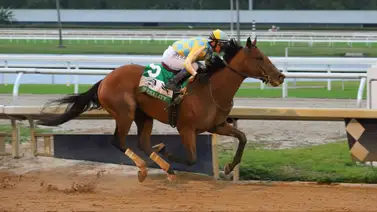 ¡MAGISTRAL! Javier Castellano domina Gulfstream Park con un doblete que incluye una victoria de Stakes ¡MAGISTRAL! Javier Castellano domina Gulfstream Park con un doblete que incluye una victoria de Stakes