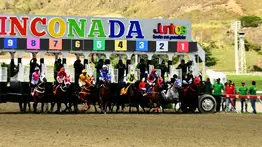 Cifra de locura: El 5y6 de La Rinconada alcanza un monto récord para despedir el mes de Noviembre