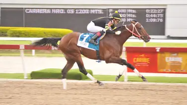 Serie Hípica 2023: ¡Confirmado! Está es la lista de los ejemplares que corren la Copa Velocidad del Caribe Serie Hípica 2023: ¡Confirmado! Está es la lista de los ejemplares que corren la Copa Velocidad del Caribe