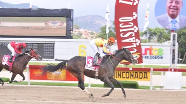 Serie Hípica2023: ¡Oficial! Estos son las rivales de Fast Sensation y Tequila en la Copa Dama del Caribe