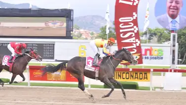 Serie Hípica2023: ¡Oficial! Estos son las rivales de Fast Sensation y Tequila en la Copa Dama del Caribe Serie Hípica2023: ¡Oficial! Estos son las rivales de Fast Sensation y Tequila en la Copa Dama del Caribe