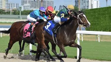 Cipriano Gil gana su primera carrera en el Championship Meet de Gulfstream Park Cipriano Gil gana su primera carrera en el Championship Meet de Gulfstream Park