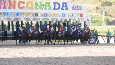 Datos de Última Hora para el Hipódromo La Rinconada 2-12-2023