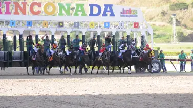 Datos de Última Hora para el Hipódromo La Rinconada 2-12-2023 Datos de Última Hora para el Hipódromo La Rinconada 2-12-2023