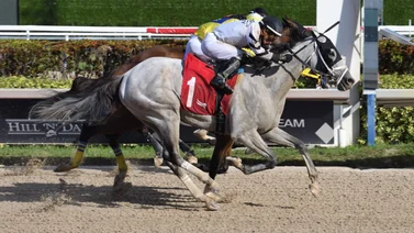 Así quedaron los resultados de las carreras de Gulfstream Park 01-12-2023