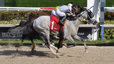 Así quedaron los resultados de las carreras de Gulfstream Park 01-12-2023 Así quedaron los resultados de las carreras de Gulfstream Park 01-12-2023