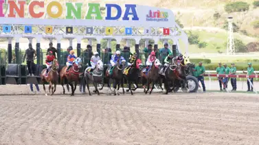 Aquí están los favoritos de la cátedra para el 5y6 Nacional de la reunión 47 en La Rinconada Aquí están los favoritos de la cátedra para el 5y6 Nacional de la reunión 47 en La Rinconada