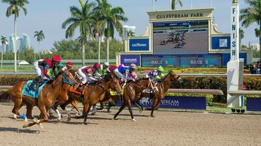 Datos de Última Hora para Gulfstream Park 2-11-2023