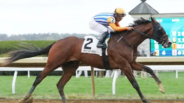 Mira la increíble carrera que gana el hermano completo de Mage este sábado en Aqueduct 