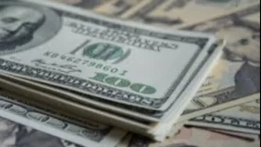 Calendario de Pagos SNAP Florida diciembre 2023: Asegura tus beneficios
