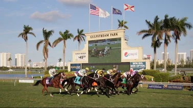 Datos de última hora para Gulfstream Park 3-12-2023 
