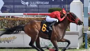 Jockey venezolano consigue su primera victoria en el Championship Meet Jockey venezolano consigue su primera victoria en el Championship Meet