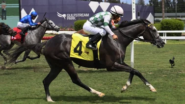 Jockey mexicano comanda estadística de Gulfstream Park