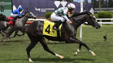 Jockey mexicano comanda estadística de Gulfstream Park Jockey mexicano comanda estadística de Gulfstream Park