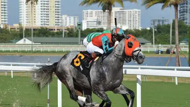 Jinete boricua consigue tres victorias en este hipódromo de Estados Unidos Jinete boricua consigue tres victorias en este hipódromo de Estados Unidos