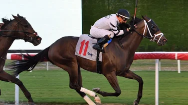 Emisael Jaramillo gana la última carrera del día en el Championship Meet