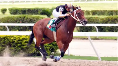 Serie Hípica 2023: Esta es la nómina definitiva con los puestos de salida de la Copa Confraternidad para Hembras Serie Hípica 2023: Esta es la nómina definitiva con los puestos de salida de la Copa Confraternidad para Hembras