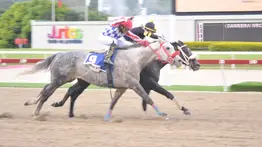 Serie Hípica 2023: Así se distribuye el aparato en la Copa Confraternidad para machos