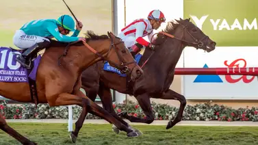 Chad Brown logra esta increíble hazaña en Estados Unidos Chad Brown logra esta increíble hazaña en Estados Unidos