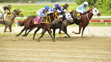 Clásico Internacional del Caribe será en la sexta válida de la reunión 48 de La Rinconada Clásico Internacional del Caribe será en la sexta válida de la reunión 48 de La Rinconada