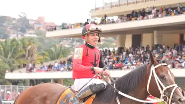 Serie Hípica 2023: Mira cómo se cotizan los ejemplares venezolanos en las competencias Serie Hípica 2023: Mira cómo se cotizan los ejemplares venezolanos en las competencias