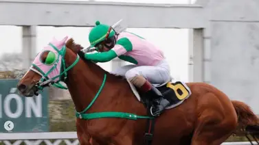 Jinete venezolano se recupera luego de una caída en hipódromo de Chile Jinete venezolano se recupera luego de una caída en hipódromo de Chile