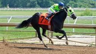 Jockey criollo alcanza importante cantidad de victorias por primera vez en Estados Unidos