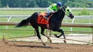 Jockey criollo alcanza importante cantidad de victorias por primera vez en Estados Unidos Jockey criollo alcanza importante cantidad de victorias por primera vez en Estados Unidos