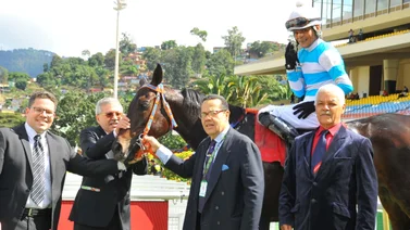 Este es el tiempo que tenía José Gregorio Querales sin ganar una carrera en La Rinconada