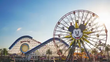 Disneyland se pronuncia ante la supuesta desaparición de una niña en el parque temático (+Video) Disneyland se pronuncia ante la supuesta desaparición de una niña en el parque temático (+Video)
