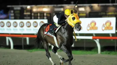 Serie Hípica 2023: Este es el único ejemplar venezolano que conquista la Copa Confraternidad en Panamá Serie Hípica 2023: Este es el único ejemplar venezolano que conquista la Copa Confraternidad en Panamá