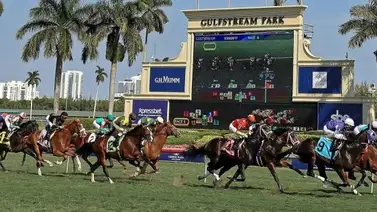 Entrenador venezolano debuta este jueves en una carrera de Gulfstream Park Entrenador venezolano debuta este jueves en una carrera de Gulfstream Park