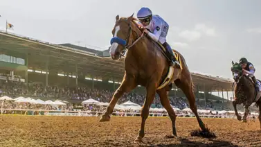 Caso Justify: Esto dice la Comisión de Carreras de Kentucky sobre descalificar al triplecoronado Caso Justify: Esto dice la Comisión de Carreras de Kentucky sobre descalificar al triplecoronado