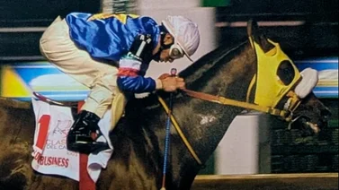 ¿Es My Own Business el mejor caballo de la historia del caribe?