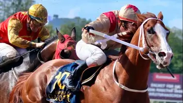 Jinete venezolano que compite en Europa y Asia montará en Estados Unidos Jinete venezolano que compite en Europa y Asia montará en Estados Unidos