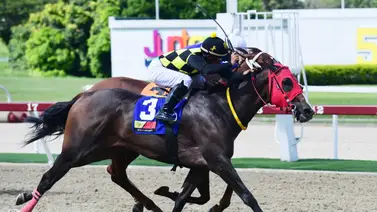 Serie Hípica 2023: Mira lo que dice el caballerizo de Tequila desde Panamá (+video) Serie Hípica 2023: Mira lo que dice el caballerizo de Tequila desde Panamá (+video)