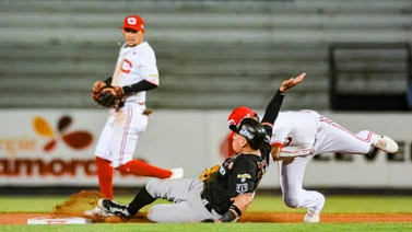 LVBP: Así queda la tabla de posiciones luego de la jornada reciente (+video)