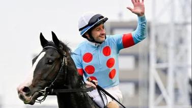 Este es el precio del servicio del mejor caballo del mundo para el 2024