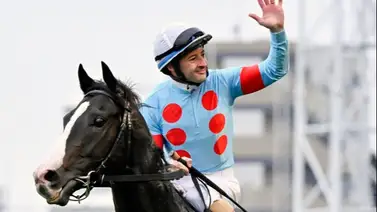 Este es el precio del servicio del mejor caballo del mundo para el 2024 Este es el precio del servicio del mejor caballo del mundo para el 2024