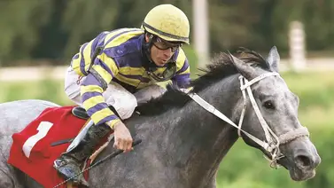 Juan Carlos Díaz regresa a la acción este viernes en Puerto Rico Juan Carlos Díaz regresa a la acción este viernes en Puerto Rico