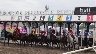 Serie Hípica 2023: Esta es la condición física de los ejemplares venezolanos en Panamá (+video) Serie Hípica 2023: Esta es la condición física de los ejemplares venezolanos en Panamá (+video)