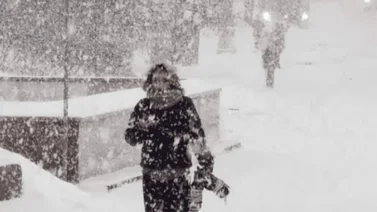 Alerta meteorológica: Pronóstico de la próxima gran nevada en Estados Unidos