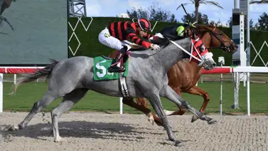 Mira el impactante final que protagonizan Irad Ortiz Jr. y Samuel Camacho Jr. en Estados Unidos (+video) Mira el impactante final que protagonizan Irad Ortiz Jr. y Samuel Camacho Jr. en Estados Unidos (+video)