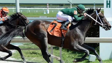 ¿Sabías que un ejemplar que corrió el Kentucky Derby está en un Haras venezolano como semental? Aquí te lo mencionamos