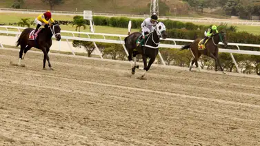 Así queda el ajuste de una de las sorpresas de Rubén Lanz para el 5y6 en La Rinconada Así queda el ajuste de una de las sorpresas de Rubén Lanz para el 5y6 en La Rinconada