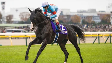El mejor caballo del mundo ya tiene fecha para su ceremonia de retiro