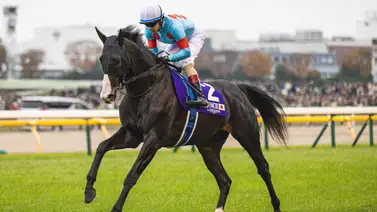 El mejor caballo del mundo ya tiene fecha para su ceremonia de retiro El mejor caballo del mundo ya tiene fecha para su ceremonia de retiro