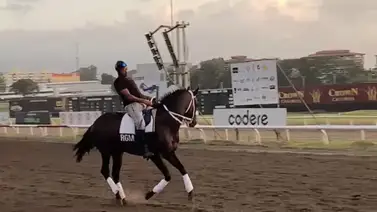 Li Tre Fratelli casi sufre un accidente en la pista del hipódromo Presidente Remón (+Video) Li Tre Fratelli casi sufre un accidente en la pista del hipódromo Presidente Remón (+Video)