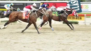 Dato más corrido de La Rinconada fue retirado de la reunión 48 Dato más corrido de La Rinconada fue retirado de la reunión 48